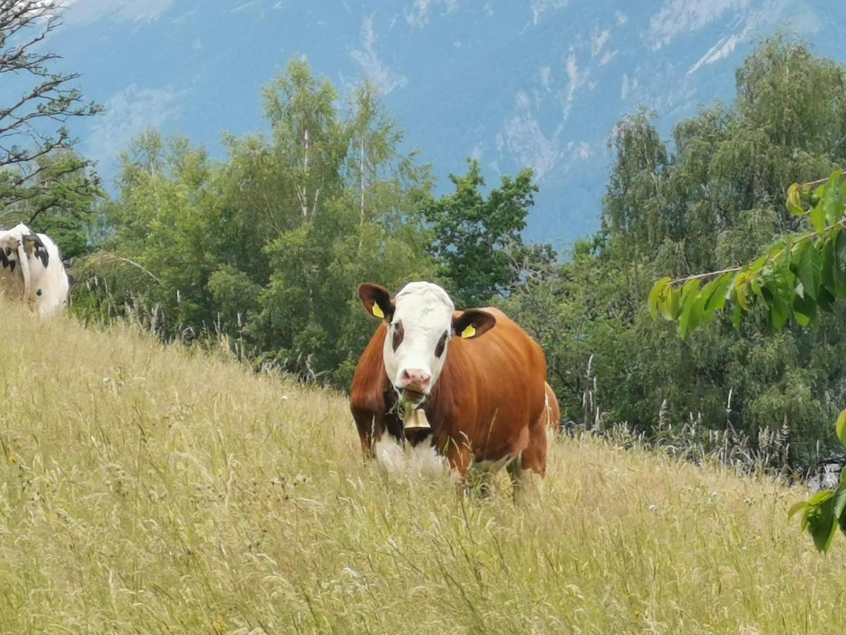Farm stay Lamplhof *