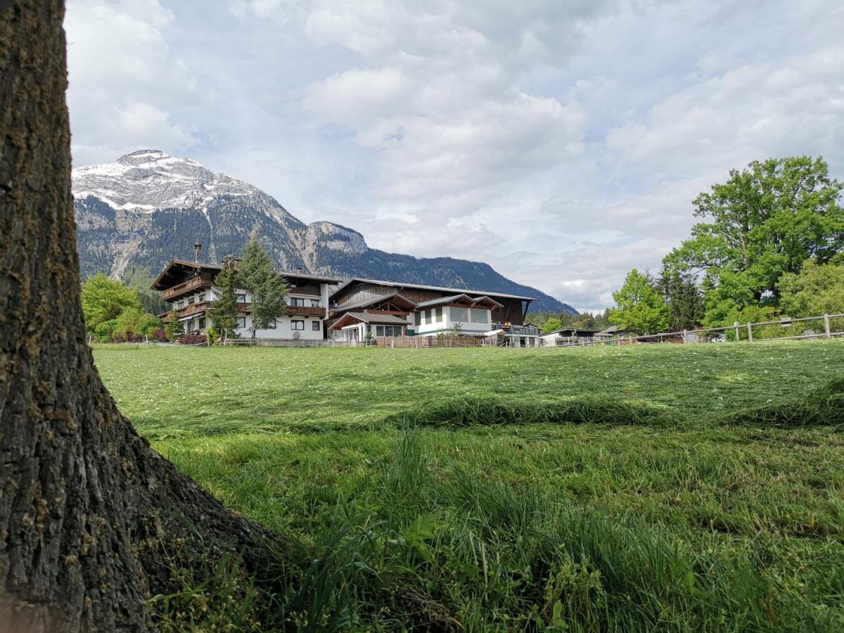 Lamplhof Farm stay *