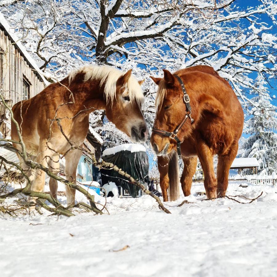 Farm stay Lamplhof Wiesing